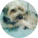 Jodi Huard profile picture